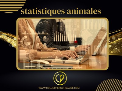 statistiques animales collierpersonnalise.com