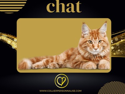 chat collierpersonnalise.com